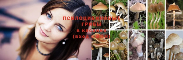 первитин Новозыбков