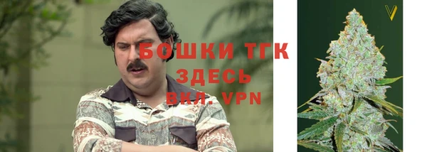 хмурый Нея