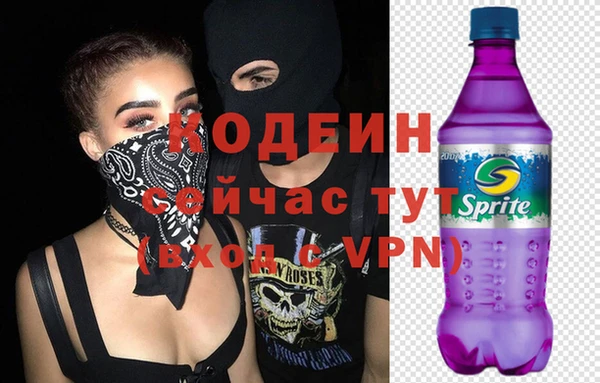 дмт Новодвинск