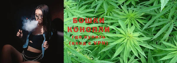 хмурый Нея