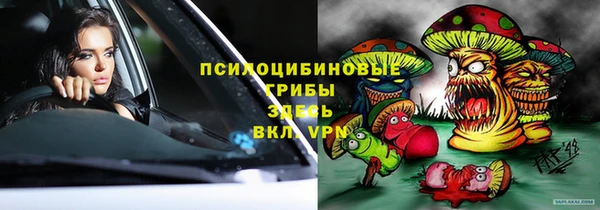 хмурый Нея