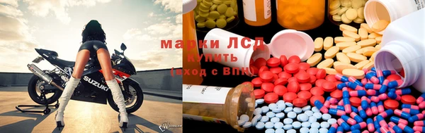 дмт Новодвинск